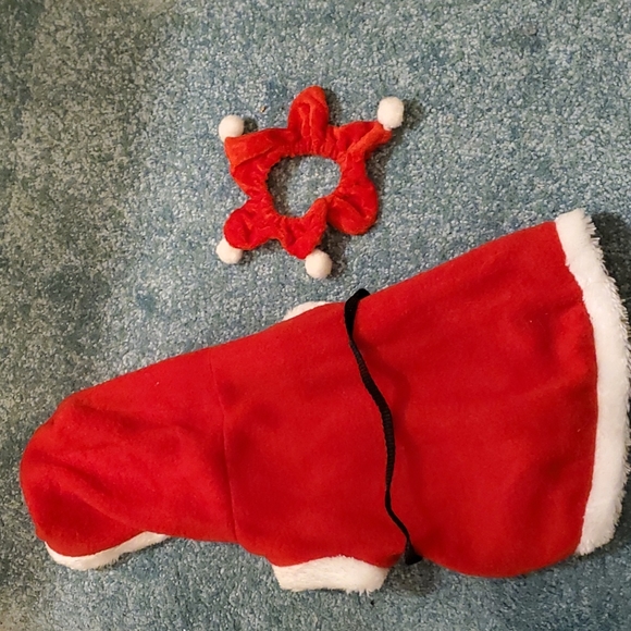 Santa Cat (and Small Dog) Suit and Coller - Picture 2 of 3
